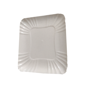 BANDEJAS DE PAPELÃO PLASTIFICADAS