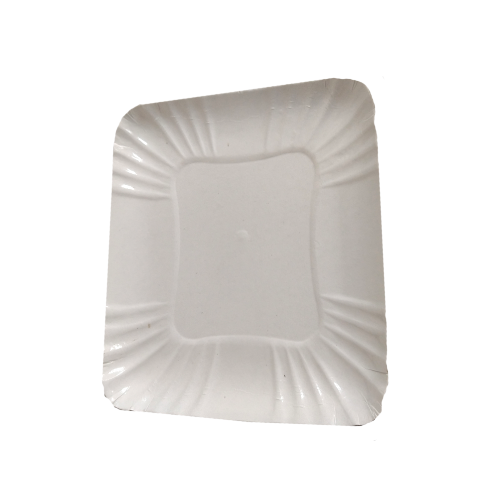 BANDEJAS DE PAPELÃO PLASTIFICADAS